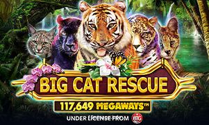 15win Big Cat Rescue Megaways Slot Game